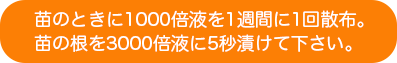 苗を健康に育てる